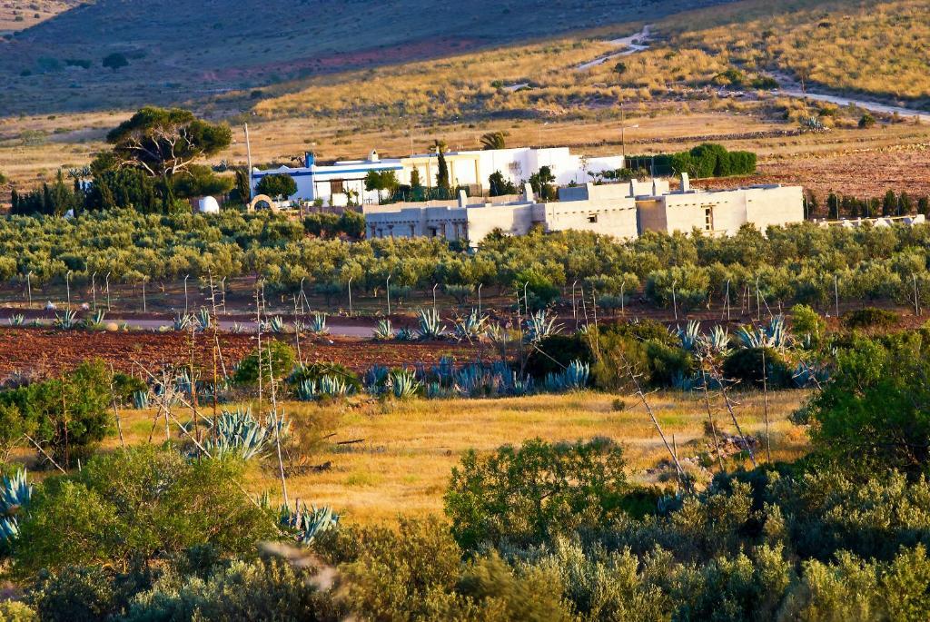 Olivares Rural Los Albaricoques Exterior photo
