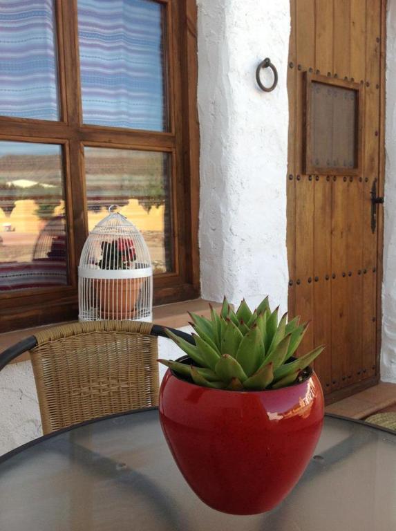 Olivares Rural Los Albaricoques Exterior photo